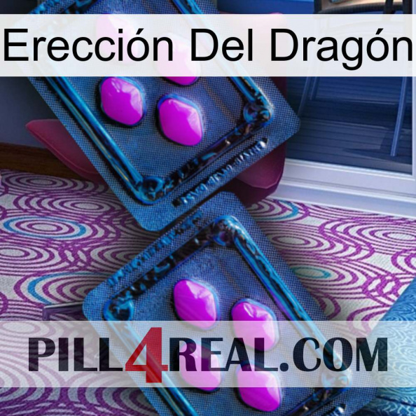 Erección Del Dragón 03.jpg